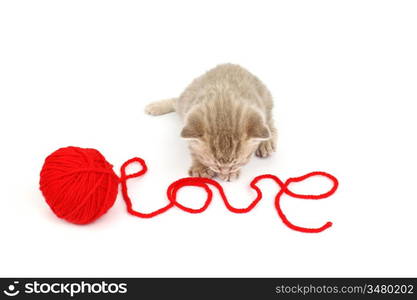 cat and wool sign love