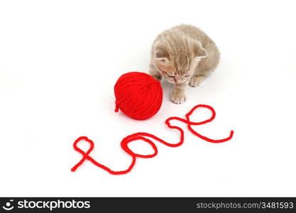 cat and wool sign love