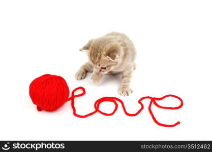 cat and wool sign love