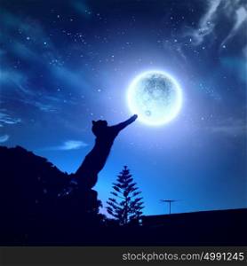 Cat catching moon. Image of cat in jump catching moon