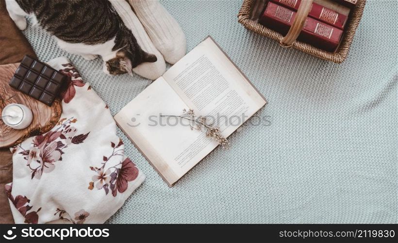 cat feet near books snacks