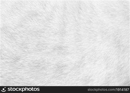 Cat fur close up background texture. White abstract stripes.