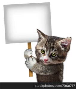 Cat holding a blank card sign as a cute kitten feline with a smiling happy expression supporting and communicating a message pertaining to pet care on an isolated white background.