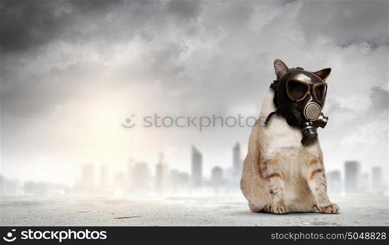 Cat in gas mask. Image of cat in gas mask. Ecology concept