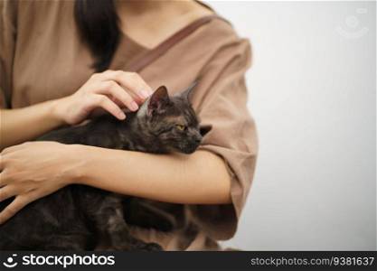 Cat lover female hand petting her lovely cat  comfortable Stay home with cat Friendship Animal lover. Cute cat. love Friend human home friendship Animal lover lifestyle