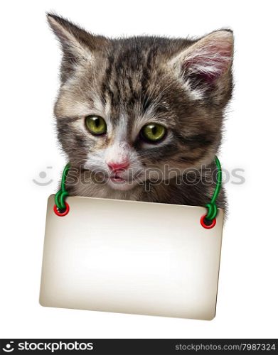 Cat or kitten with a blank card hanging around the cute feline neck isolated on a white background.