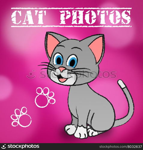 Cat Photos Meaning Cameras Pictures And Snapshots