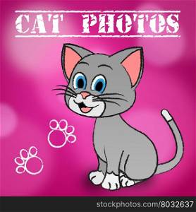 Cat Photos Meaning Cameras Pictures And Snapshots