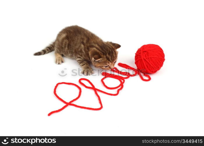 cat play in red wool