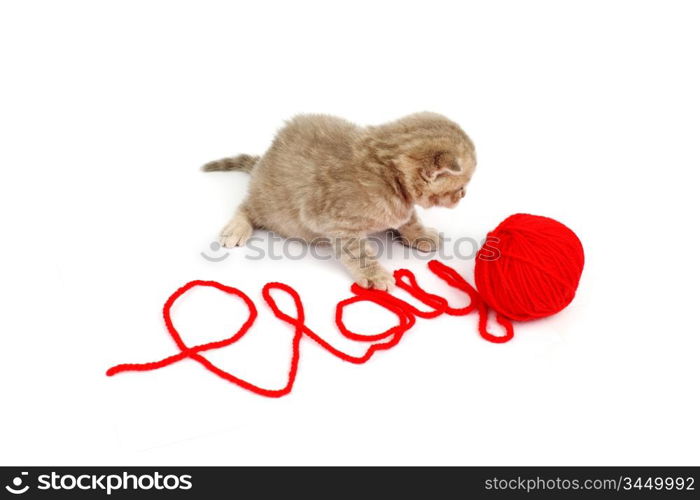 cat play in red wool