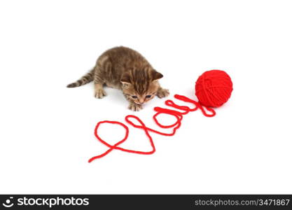 cat play in red wool