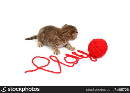 cat play in red wool