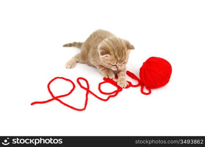 cat play in red wool