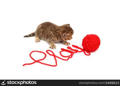 cat play in red wool