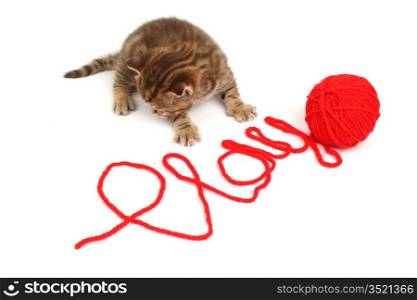 cat play in red wool