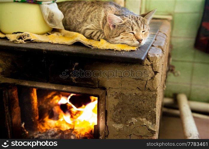 Cat sleeping on stove fireplace in home room