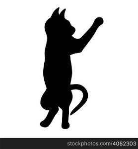 Cat stands on its hind legs black silhouette. Pet played vector isolated illustration. Abstract shadow animal. Cat stands on its hind legs black silhouette