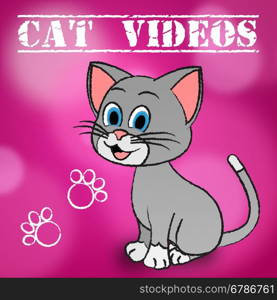 Cat Videos Showing Audio Visual And Felines