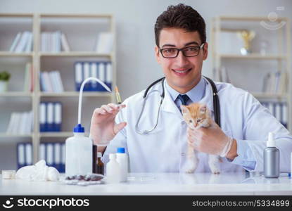 Cat visiting vet for regular checkup. Cat visiting vet for regular check up
