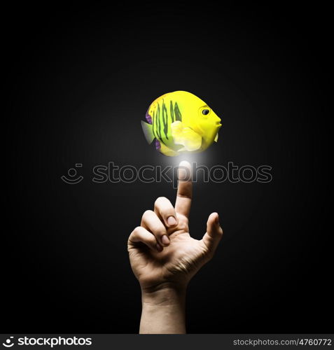 Catch big fish. Male hand pointing with finger at big exotic fish. Success in business