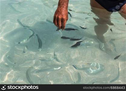 Catching Fishes in Transparent Sea with Bare Hands