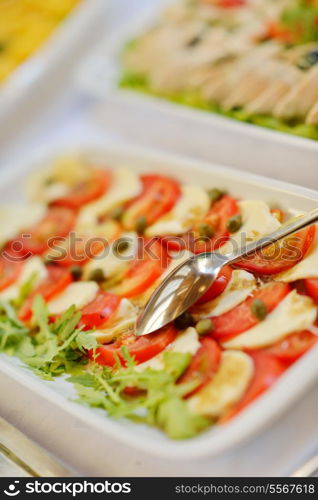 Catering food in dish at a wedding party