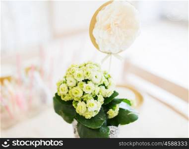 catering, holidays, wedding and celebration concept - close up of festive flower decoration