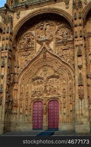 Cathedral Basilica in Salamanca of Spain by the via de la Plata way