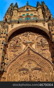 Cathedral Basilica in Salamanca of Spain by the via de la Plata way