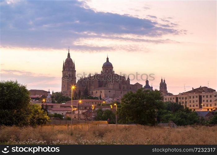 Cathedral in Salamanca in a beautiful summer night, Spain