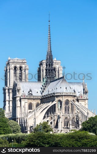 Cathedral Notre Dame Reims Champagne, Paris France