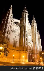 Cathedral of La Seu Majorca in Palma de Mallorca night view Balearic Islands