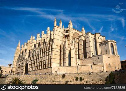 CATHEDRAL OF MAJORCA 1