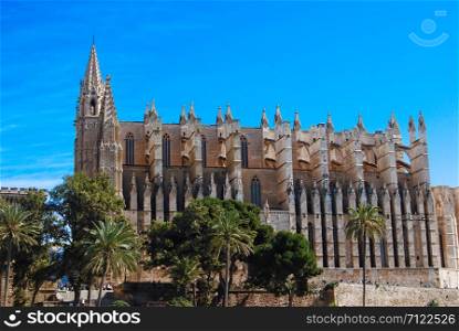 CATHEDRAL OF MAJORCA