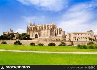Cathedral of Majorca La seu view from grass garden under blue sky