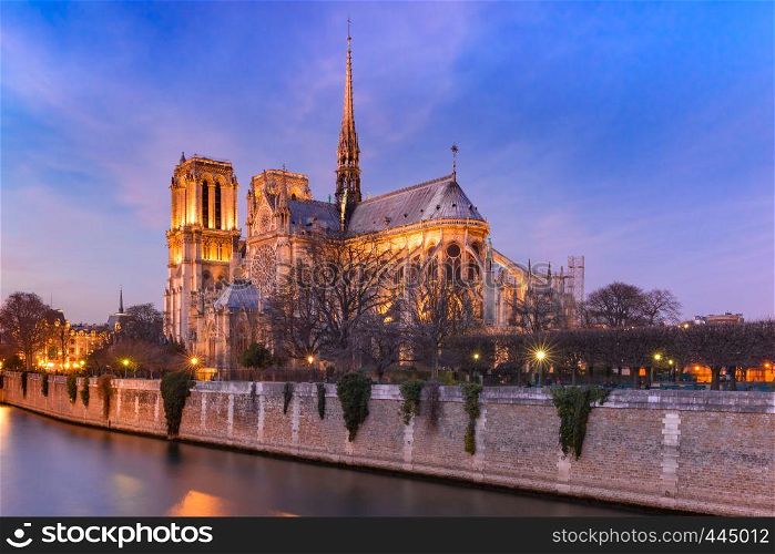 Cathedral of Notre Dame de Paris at night, destroyed in a fire in 2019, Paris, France. Cathedral of Notre Dame de Paris at night, France