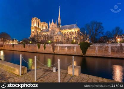 Cathedral of Notre Dame de Paris at night, destroyed in a fire in 2019, Paris, France. Cathedral of Notre Dame de Paris at night, France