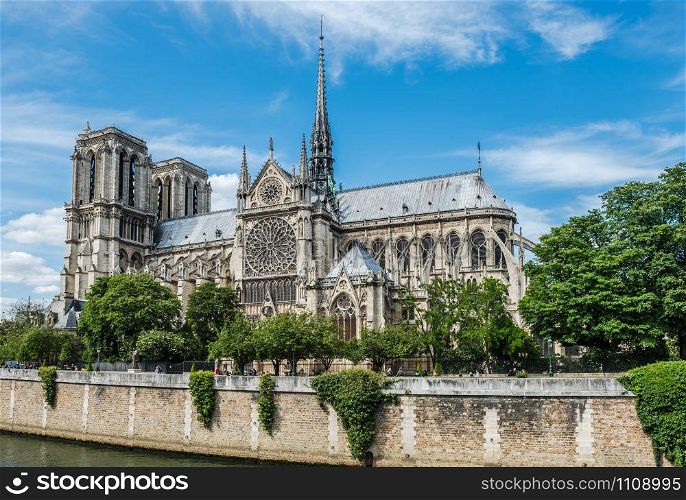 Cathedral of Notre Dame in Paris and the Seine riverbank in a good summer day