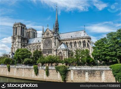 Cathedral of Notre Dame in Paris and the Seine riverbank in a good summer day