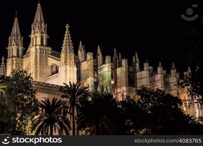 Cathedral of Palma de Mallorca La Seu night view