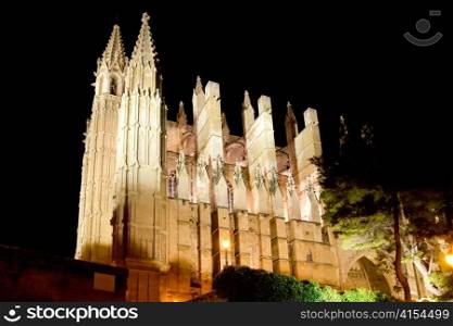 Cathedral of Palma de Mallorca La Seu night view perspective Majorca Balearics