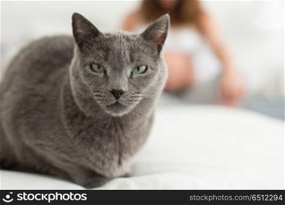Cats and motherhood. Close up to cat with pregnant woman in background