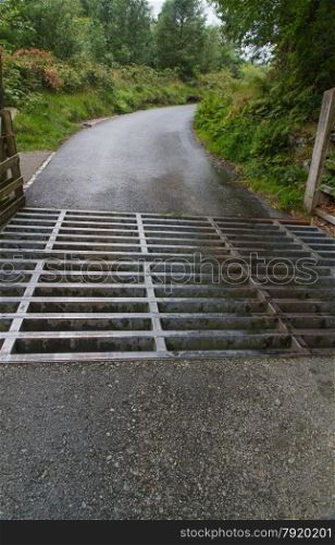 Cattle grid, stock grid, cattle guard, vehicle pass, Texas gate, stock gap or cattle stop. On track that is part of the Llanberis path up Snowdon, United Kingdom.