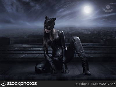 Catwoman sitting on the roof