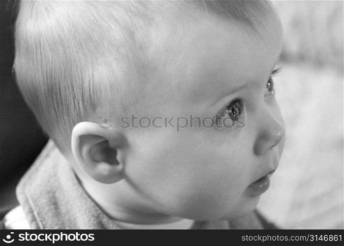 Caucasian Baby Watching With Wonder