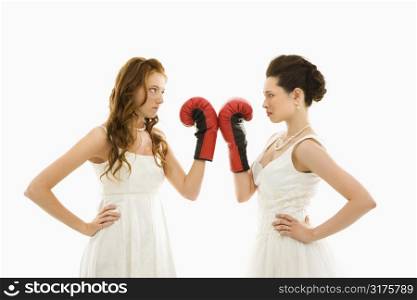 Caucasian bride and Asian bride holding boxing gloves up to each other.
