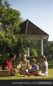 Caucasian family of four having picnic in park.