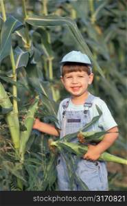 Caucasian Farm Boy Harvesting Corn