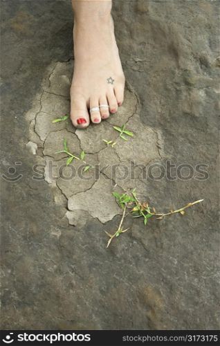 Caucasian female foot on muddy rocky ground with weeds.
