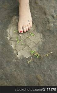Caucasian female foot on muddy rocky ground with weeds.